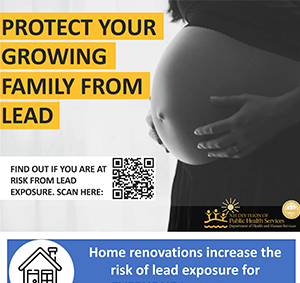 Protect your growing family from lead poster
